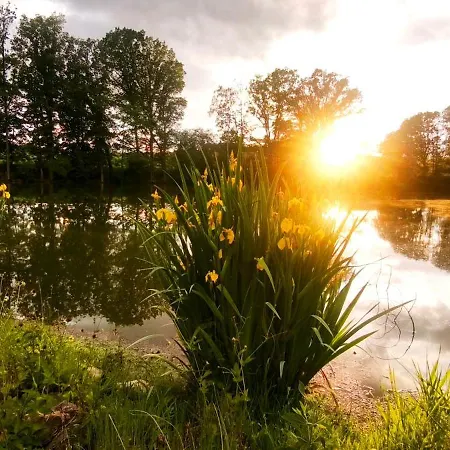 Spulka Hideaway - Romantic Forest Escape Near Prague Apartament *
